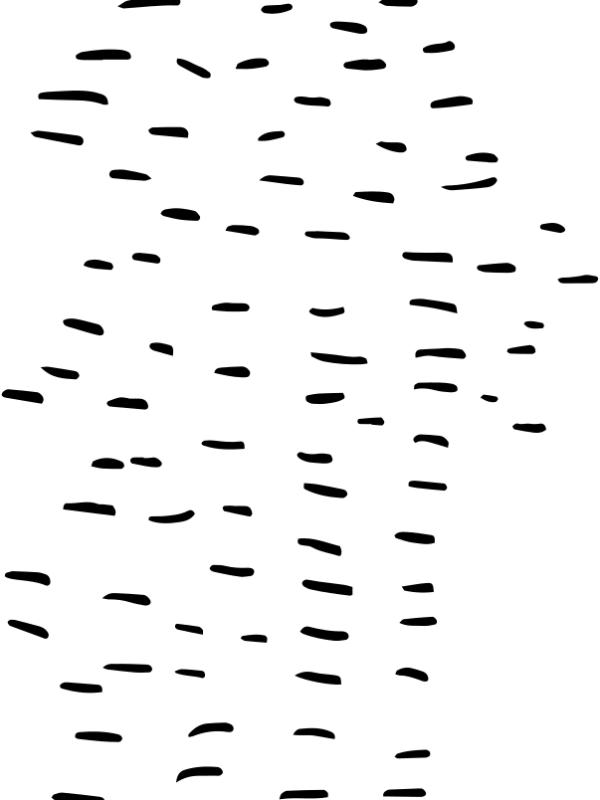 decoration-dots-01.png
